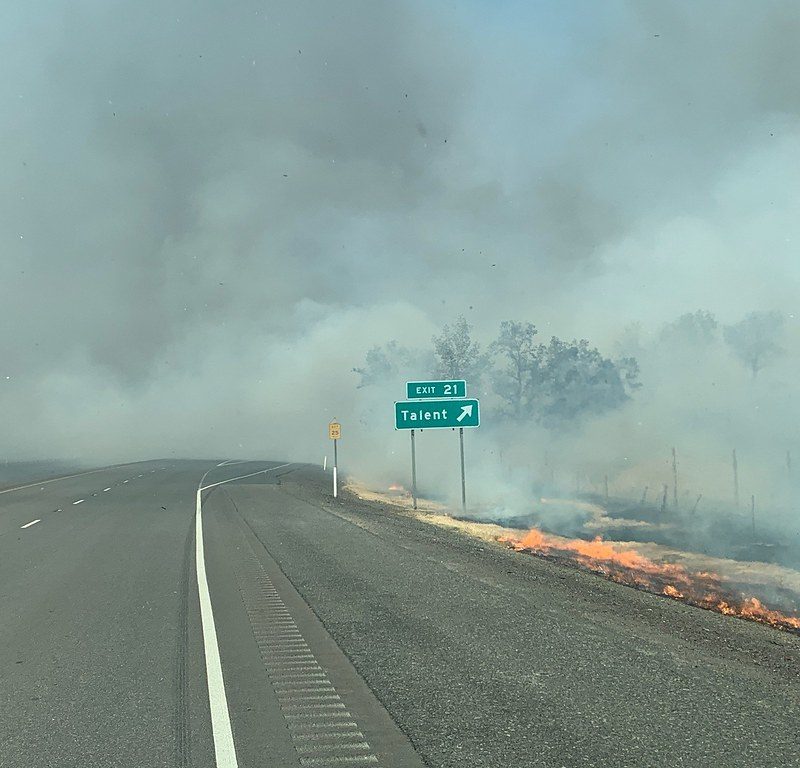 50334936496_452149ce4d_b