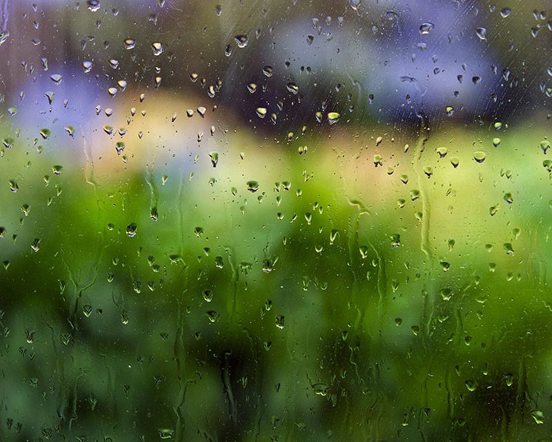 5297414769_e69f4bc320_b