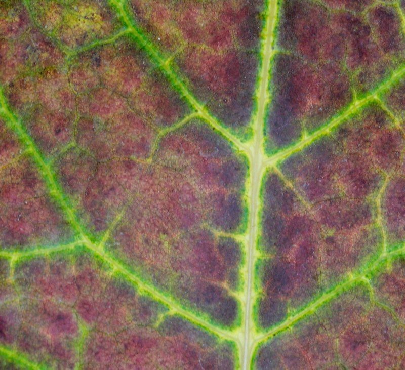 5670160583_4ff8c3c657_b