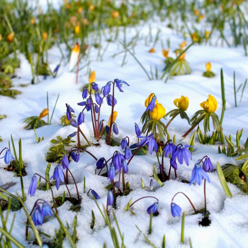 Kilde: Getty Images