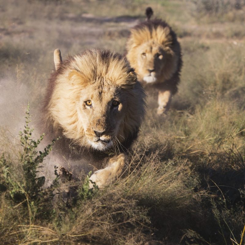 Kilde: Getty Images