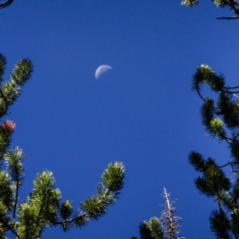 Shooting for the moon