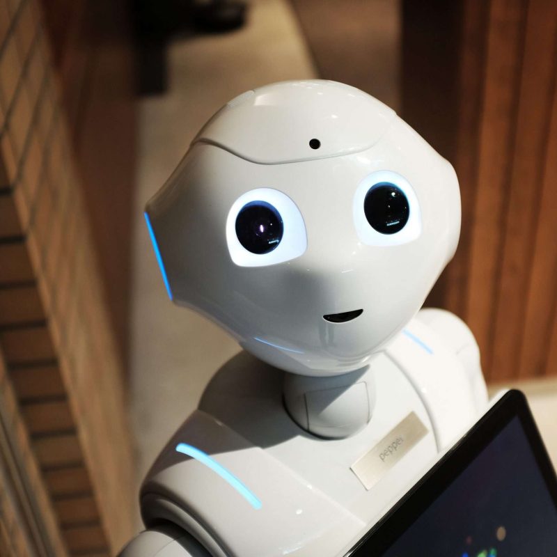 jumpstory-download20231128-080351