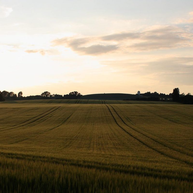 landscape-1472837