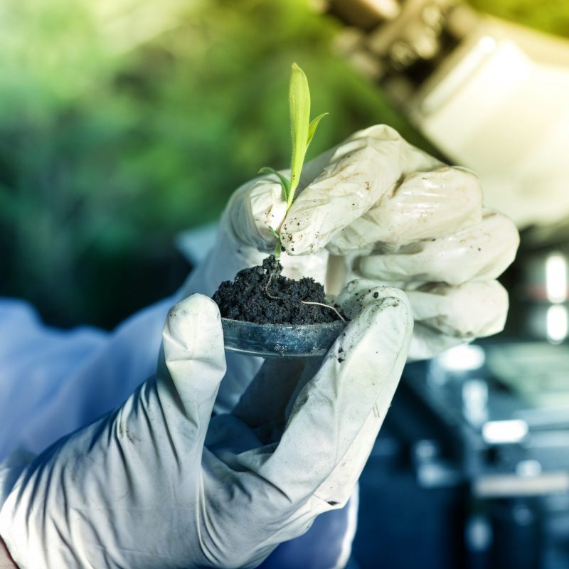 shutterstock_660890449